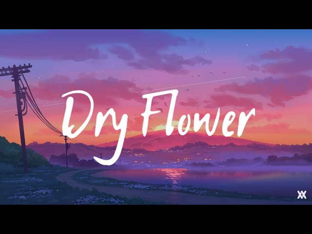 優里 Yuuri - Dry Flowerドライフラワー (Cover by. Harutya) Lyrics Video class=