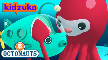 @Octonauts - The Giant Squid | Full Episode 6 | @Kidzuko