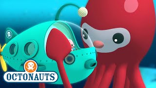 @Octonauts - The Giant Squid | Full Episode 6 | @OctonautsandFriends