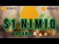 Nimiq nim review nim to 1 by 2021  nimiq oasis and staking insane potential 