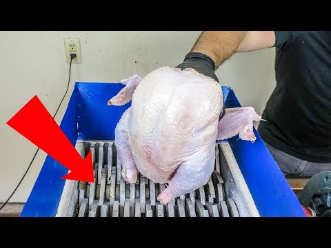 giant-chicken-vs-shredding-machine!-satisfying-and-gross-experiment