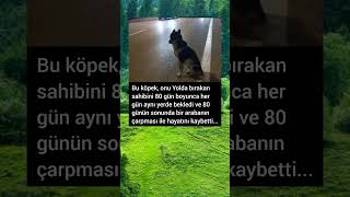 Bakamayacağınız Canı Sahiplenmeyin Şfet