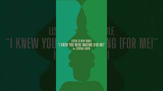 Meshell Ndegeocello  - Knew You Were Waiting (For Me)” (w/ Cynthia Erivo)