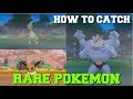 How to catch rare pokemon machampflygon and eevee pokemon sword and shield guide