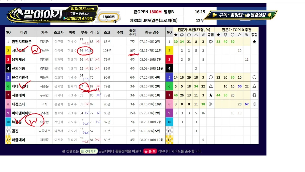2026.09.05 말이야기 AI 경마 예상｜토요경마 AI 데이터로 찾는 배당마
