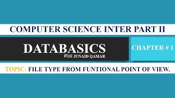 Program File | Data File | Computer Science (MS Access & C) by Junaid Qamar