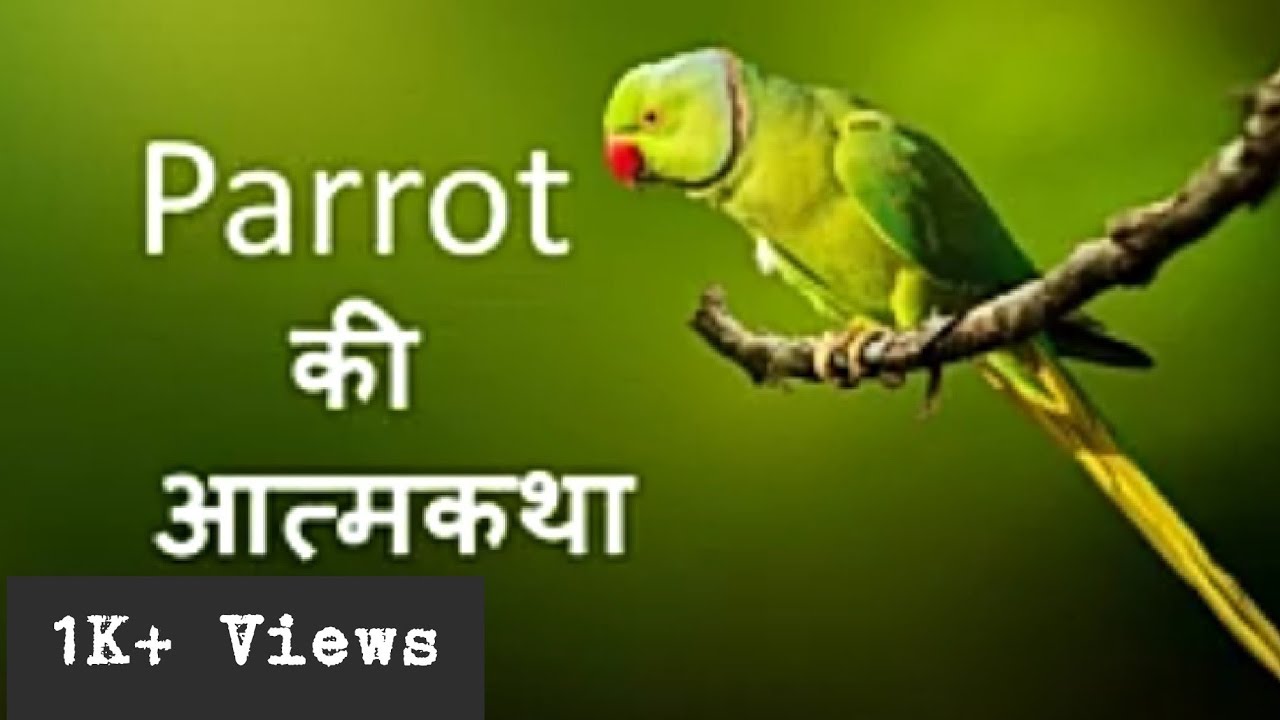 essay on autobiography of bird in hindi