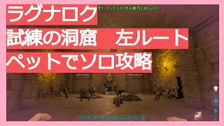 Ark Survival Evolved ラグナロク 試練の洞窟左ルート 攻略紹介 Youtube