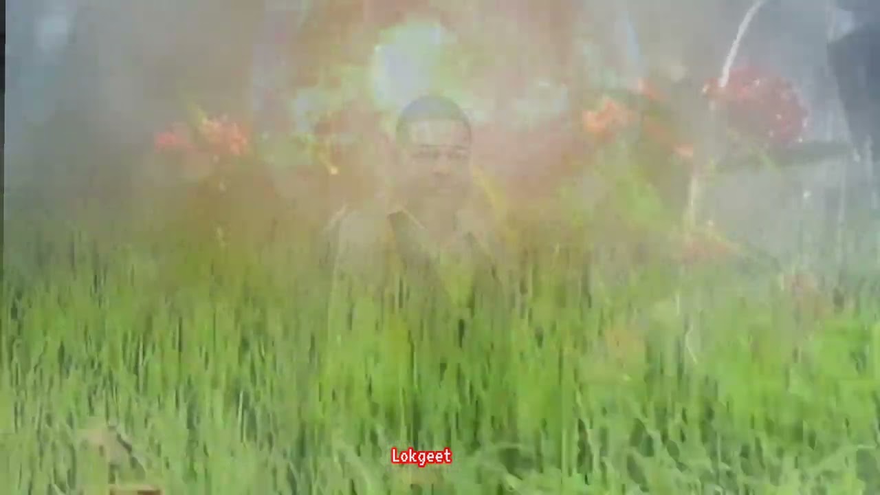 తెలుగులో గీత్ తెలుగు పల్లెటూరు పాట🙏