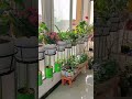 베란다 식물 화분걸이, 인테리어와 공간 활용까지~ (구매정보는 고정댓글👉) Mp3 Song