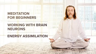 Lesson 2 Meditation For Beginners Working With Brain Neurons Energy Assimilation