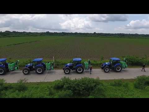 აზიური ფაროსანას საწინააღმდეგოდ სიმინდის საყანე ფართობების დამუშავება დაიწყო