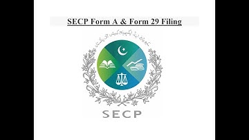 Filing of SECP Annual Returns Form A & Form 29 I Statutory Returns