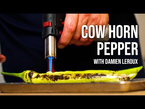 Roasted Green Cow Horn Pepper with Damien Leroux
