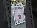 Wild Willy's Ice Cream spot in West Island Montreal!