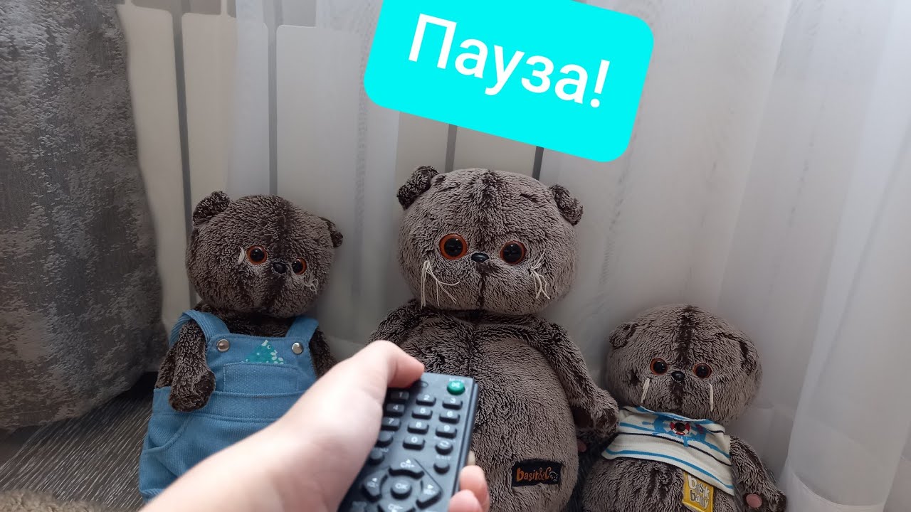 Пауза челендж с Басиками! Экстренное собрание/ басик тв😺💕
