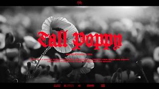 Fith. - Tall Poppy Ft. Indigomerkaba Official Music Video