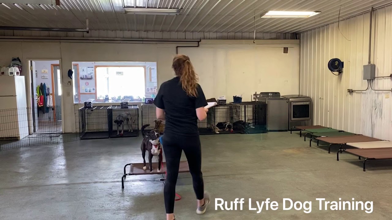 Kronos Place Command YouTube