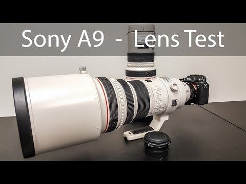 Sony A9 Lens Test Canon 400mm & 300mm F2.8 IS