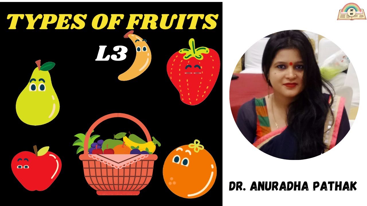 Types of fruits L3 dry dehiscent fruit CLASS 11NEET BIOLOGY Dr.Anuradha's learn biology