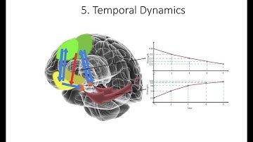 11.5. Temporal Dynamics , Fundamentals of Cognitive Neuroscience Course, Session 11, Part 5