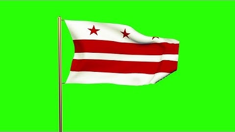 Washington DC Flag Waving In The Wind. Green Screen, Alpha Matte. Loopable Anima Stock Animation