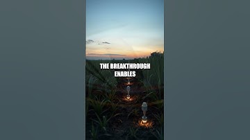 Bio Inspired Quantum Sensors Redrawing Microbe Sensing