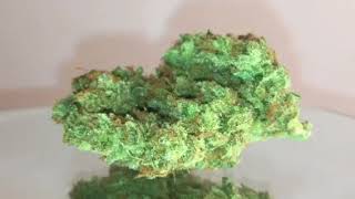 Megafauna #4 / Smokers Corner EPS1