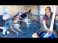 Buanderie dans une salle de buanderie avec savon carrelage bleu et cendre dcolorante