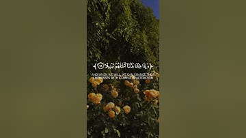 قرآن كريم - سورة (الانسان) - رقم اية (27-31) - القارئ شريف مصطفى