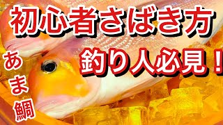 アマダイ捌き方 甘鯛料理レシピ煮付け 下ごしらえから煮付けまで Youtube アマダイ捌き方 甘鯛料理レシピ煮付け 下ごしらえから煮付けまで Youtube