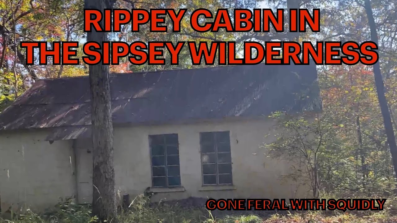 Rippey (Ripley) Cabin in the Sipsey Wilderness YouTube