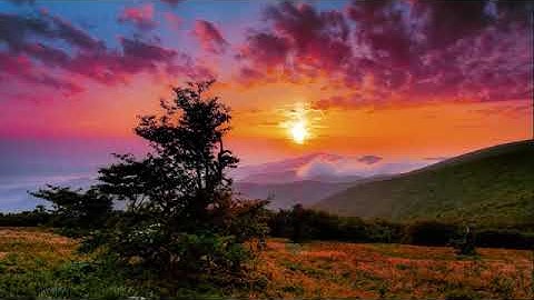 تلاوة تريح القلوب || القارئ سامى الكردى