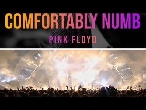 Pink Floyd -