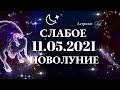 СЛАБОЕ НОВОЛУНИЕ в ТЕЛЬЦЕ 11.05.2021-ЛУНА в АПОГЕЕ. НОВЫЕ ЗАДАЧИ.ГОРОСКОП для ВСЕХ ЗНАКОВ. Астр.Olga