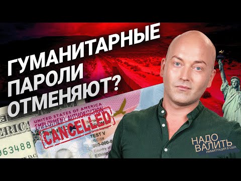 Видео: Налоговая служба закрыта до середины февраля?