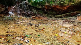 Water Gurgling on the Cliffs On the Mountain, Relaxation, Babbling Brook ASMR