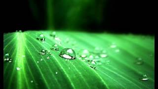 TRANCE CELESTIAL.wmv