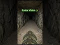 We Entered the Giant Snake Cave Through Its Eyes 😱 Terrifying Secrets Hidden in the Deepest Dark