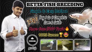 Betta Fish Breeding in Tamil HD | 2021 First Video😊 | Must Watch 🤩 | தமிழ் | Wonder Aqua Garden