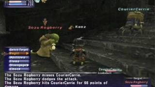 Ffxi Nm Saga Sozu Rogberry Vs Bst Solo Full Battle
