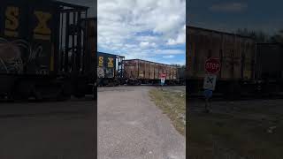 CSX Train Passing By Pt.21 ft. Biodiesel Unit