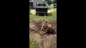 Stump Me pulling stumps