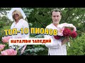 ТОП-10 раннецветущих пионов; травянистые, молочноцветковые, межвидовые гибриды