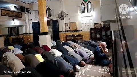 صلاة التراويح 19/رمضان المبارك لعام/1446/2025/من سورة الفرقان بصوت الشيخ عبد الرحمن البرماوي
