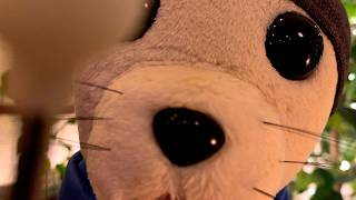 Let Me Untangle Your Exhausted Brain 🦭💤 (Deep Sleep ASMR)