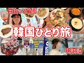 【韓国ひとり旅】50代が本気で楽しむ絶品グルメ巡りと春のソウル/食べて、歩いて、癒やされて。