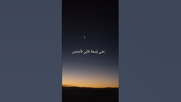 سورة العنكبوت ، ايه ٥٦~٥٧. 🤍      #سورة_العنكبوت #قرآن_كريم