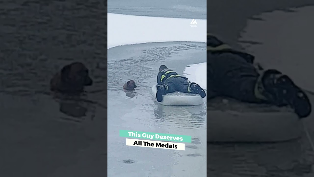 Man Saves Dog From Frozen Lake | People Are Awesome #animalrescue #shorts