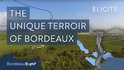 The Unique Terroir of The Bordeaux Wine Region